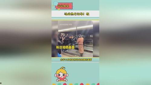 娱乐播报吃瓜是真的吗,吃瓜真相，娱乐播报背后的真实故事